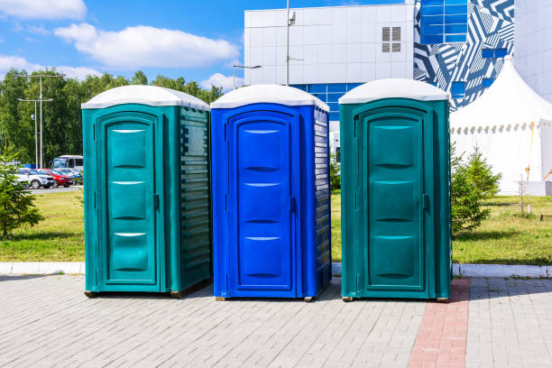 Best Portable Restroom Maintenance and Cleaning  in Stickney, IL